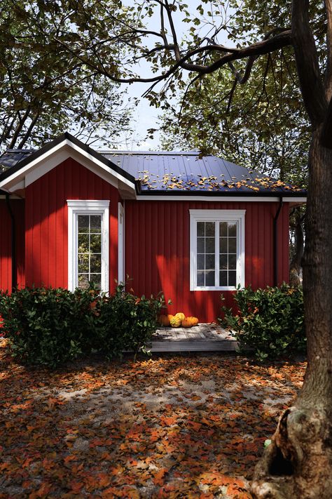 A red cabin on Behance Red Cabin Aesthetic, Red Log Cabin Exterior, Red Bungalow Exterior, Red House Black Roof, Scandinavian Red House, Red She Shed, Red House Green Roof, Red Wooden House, Red Cabin Exterior