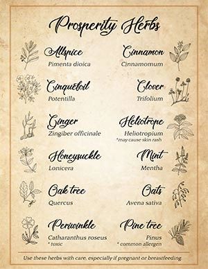 Magical Substitutions: Herbs, Candles and Spell Ingredients – Spells8 Prosperity Herbs, Candle Color Meanings Magic, Protection Herbs, Spell Ingredients, Candle Color Meanings, Potions Recipes, Green Witchcraft, Protection Spell, Magic Herbs