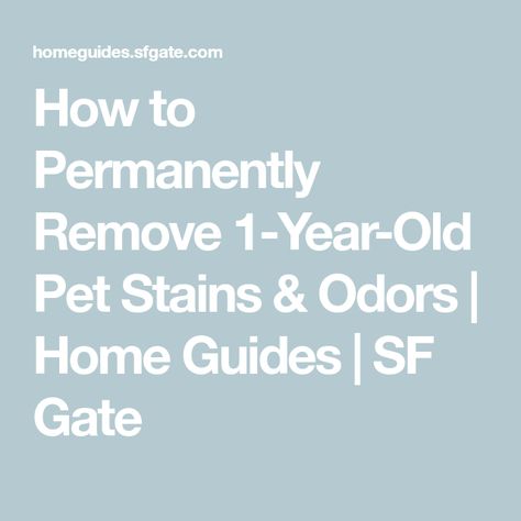 How to Permanently Remove 1-Year-Old Pet Stains & Odors | Home Guides | SF Gate Cleaning Pet Urine, Pet Urine Smell, Remove Pet Stains, Pet Odor Remover, Deep Cleaning Checklist, Stain Remover Carpet, Cleaning Tips And Tricks, Natural Cleaning Recipes, Urine Smells