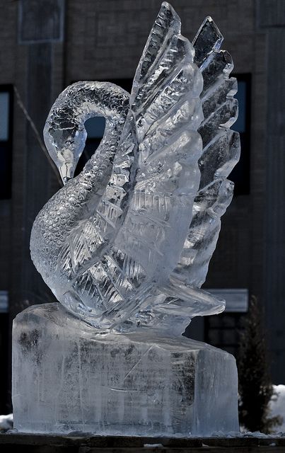 Ice sculpture in Wausau, Wisconsin, from their Winter Fest. Ice Sculpture Wedding, Ice Magic, Sculpture Images, Ice Carving, Winter Art Projects, Ice Art, Snow Sculptures, Ice Sculpture, Snow Art