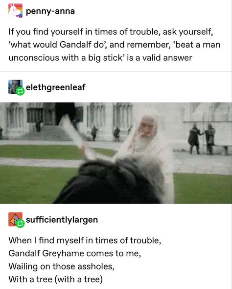 Lord Of The Rings Humor, Hobbit Lord Of The Rings, Lord Of The Rings Hobbits, Lord If The Rings, Fandom Rings, Lord Of The Rings Tumblr, Gandalf Funny, Lord Of The Rings Funny, Tolkien Movie