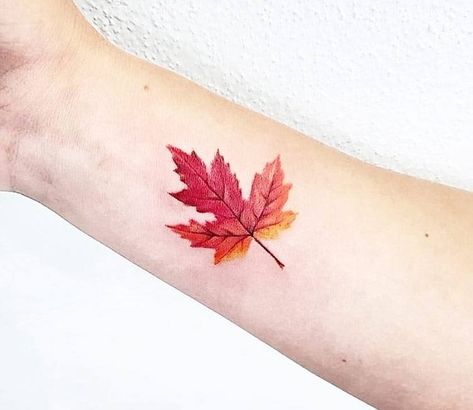 Leaf Tattoo Ideas, Maple Leaf Tattoos, Fall Leaves Tattoo, Blatt Tattoos, Sailor Tattoos, Autumn Tattoo, Leaf Tattoo, Pirate Tattoo, Band Tattoos