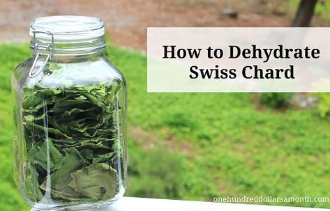 how to dehydrate swiss chard Dehydrate Swiss Chard, Dehydrating Swiss Chard, Storing Food Long Term, Food Dehydration, Swiss Chard Recipes, Chard Recipes, Dehydrated Vegetables, Preserving Herbs, Canning Pickles