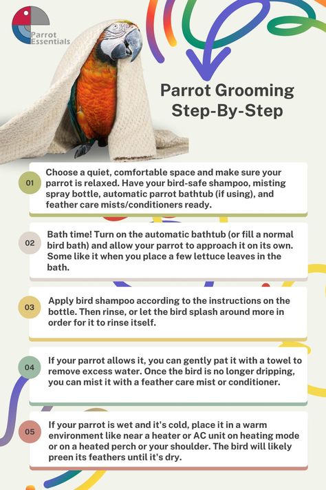 Splish Splash: Your Ultimate Guide to a Happy, Clean Parrot! 🦜✨💦   Did you know that taking care of a parrot requires more than just feeding and playing with them? Parrot grooming is also a crucial aspect of responsible parrot care, and it plays a vital role in maintaining the health and well-being of these charming birds.  #parrotessentials #parrots #petparrot #parrotlife #parrotfacts #parrottips #parrotcaretip #parrotlove #petbird #ParrotCare #BirdGrooming #HealthyPets Bird Care Tips, Parrot Care, Parrot Facts, Bird Ideas, Pet Remedies, Halloween Safety, Parrot Feather, Bird Treats, Bird Care