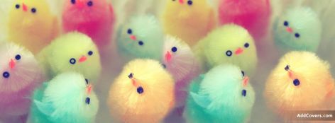 Easter Chicks {Holidays Facebook Timeline Cover Picture, Holidays Facebook Timeline image free, Holidays Facebook Timeline Banner} Easter Cover Photo Facebook, Easter Cover Photos, Photos For Facebook, Cover Pics For Facebook, Facebook Cover Images, Fb Cover Photos, Timeline Cover, Easter Parade, Facebook Timeline Covers