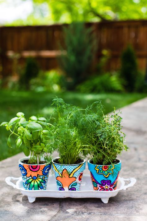 Faux Talavera. I am obsessed with Talavera pottery! The bright colors and boldness of the designs makes me smile inside and out. Use this DIY to recreate Talavera’s beauty on a budget and use them to grow herbs indoors for fresh year-round use.  #muybuenocookbook #diy #talavera Diy Talavera, Grow Herbs Indoors, Talavera Design, Beauty On A Budget, Terra Cotta Clay Pots, Grow Herbs, White Paint Pen, Colorful Paintings Acrylic, Talavera Pottery