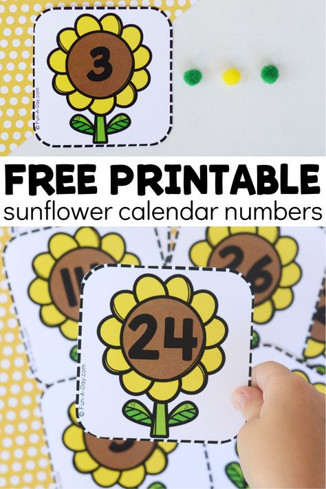 These sunflower calendar numbers are perfect for preschool, pre-k, and kindergarten classroom calendars. AND they can be used to practice so many early math skills with kids. Get your free copy by clicking on the Fun-A-Day.com link. Calendar Pieces Free Printable, Sunflower Math Activities Preschool, Sunflower Classroom Theme, Sunflower Activities, Preschool Flower Theme, Sunflower Calendar, Classroom Calendars, Numbers Free Printable, Free Printable Calender