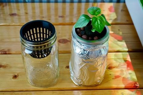 Oct 13, 2023 - Want fresh herbs, all year round? Learn how to grow herbs in hydroponics indoors for off-season harvests of basil, thyme, oregano, and more! Mason Jar Herb Garden Indoor, Herbs In Mason Jars, Jar Herb Garden, Hydroponic Herb Garden, Hydroponic Strawberries, Indoor Hydroponic Gardening, Mason Jar Plants, How To Grow Herbs, Mason Jar Garden