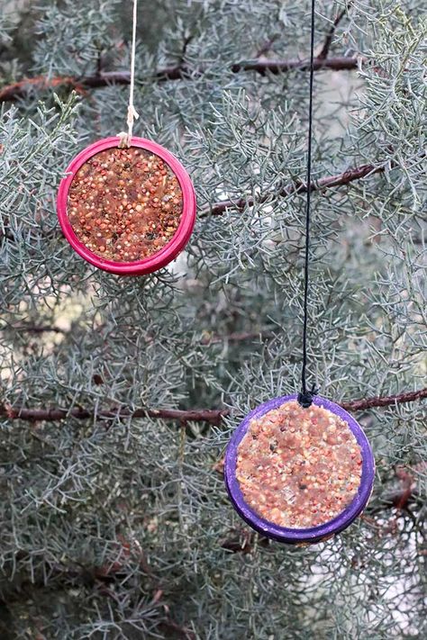 How to Make a Simple Bird Feeder With Mason Jar Lid - Koti Beth Simple Bird Feeder, Installing Exterior Door, Chalk Paint Chairs, Can Upcycle, Modern House Numbers Sign, Drum Shade Chandelier, Diy Scrapbook Paper, Hanging Bird Feeder, Mason Jar Lid