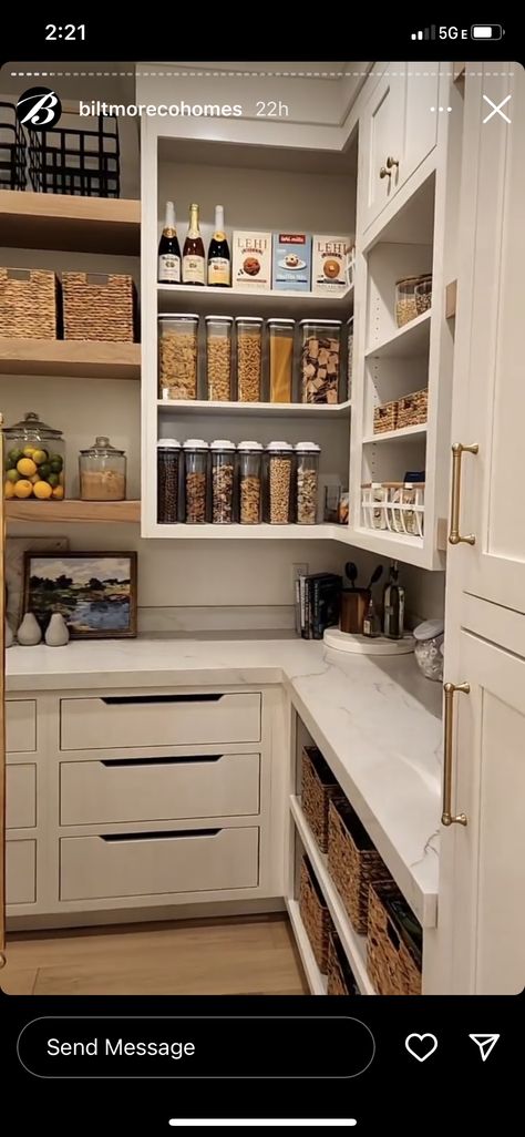 Small Walk In Corner Pantry, Chandelier In Pantry, Walk In Pantry Must Haves, Modern Rustic Pantry, Long Pantry Design, Square Walk In Pantry, Small Butler Pantry, Pantry With Drawers, Small Pantry With Countertop