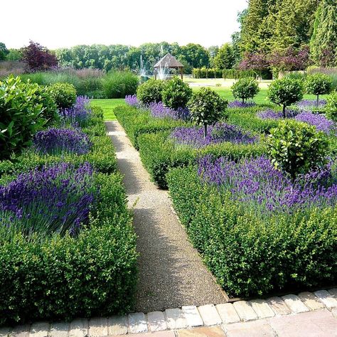 English Landscaping, Formal Garden Design, Parterre Garden, Boxwood Garden, Garden Estate, Lavender Garden, Formal Garden, Garden Deco, Formal Gardens