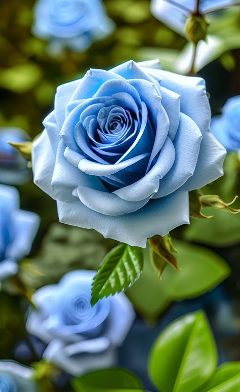 Blue Roses Aesthetic, Blue Rose Aesthetic, Blue Roses Bouquet, Blue Rose Garden, Fleurs Art Nouveau, Blue Roses Wallpaper, Blue Rose Tattoos, Light Blue Roses, Roses Art