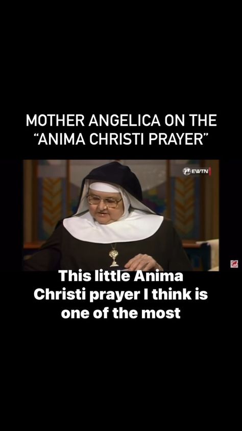 Anima Christi Prayer, Anima Christi, Forever And Ever Amen, Mother Angelica, Our Lord, A Prayer, Holy Communion, Lord Jesus Christ, 14th Century