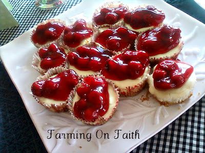 Weight Watchers cherry cheesecake Weight Watchers Cheesecake, Mini Cherry Cheesecakes, Cherry Cheesecake Recipe, Mini Cheesecake Recipes, Mini Torte, Weight Watchers Recipes Desserts, Weight Watchers Snacks, Ww Desserts, Cherry Cheesecake