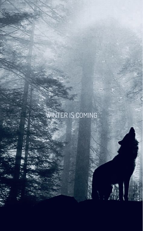 Pixel Wallpaper, The Winds Of Winter, Game Of Thrones Winter, Game Of Thrones Facts, Game Of Thrones Poster, Hemlock Grove, Got Game Of Thrones, Game Of Thrones Quotes, Game Of Thrones Funny