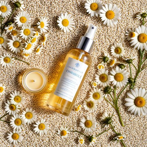 Have You Tried My Hydrating Chamomile Facial Mist Recipe Yet?!! 1 cup distilled water: Acts as the base for the mist and helps hydrate the skin. 2-3 drops chamomile essential oil: Known for its soothing and anti-inflammatory properties. 1 tablespoon chamomile tea (cooled): Provides additional calming benefits from the natural chamomile. Optional: 1 tablespoon aloe vera juice for extra hydration and skin-soothing effects. #ChamomileGlow #FloralFacialMist #NaturalSkinRitual #SkinSoothingSp... 2024 Skincare, Botanical Skincare, Chamomile Essential Oil, Diy Beauty Recipes, Chamomile Tea, Aloe Vera Juice, Diy Skincare, Botanical Beauty, Facial Mist