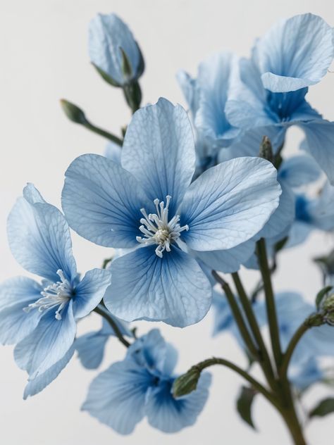 Our Light Blue Flowers create a peaceful atmosphere in any room. Enjoy! Light Blue Aesthetic Nature, Bleu Clair Aesthetic, Pretty Blue Things, Light Blue Objects, Light Blue Asthetics Photos, White And Light Blue Aesthetic, Image Aesthetic Bleu, Light Blue Flowers Aesthetic, Vision Board Blue Aesthetic