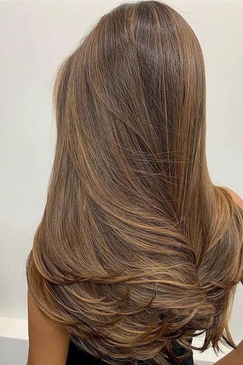 Brown Hair Inspo, Brown Hair Balayage, Healthy Hair Tips, Black Hairstyles, Brown Blonde Hair, Hair Inspiration Color, Hair Inspo Color, Light Hair, Light Brown Hair