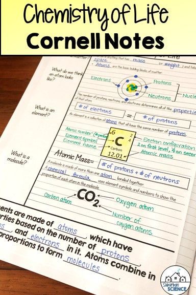 Cornell notes are perfect for interactive notebooks! This effective note-taking method can be used to teach atoms, molecules, and basic chemistry! Teaching Biology Activities, Notes For Biology, Biology High School, Biology Interactive Notebook, Biology Lesson Plans, Basic Chemistry, Atoms And Molecules, Study Chemistry, Social Studies Notebook