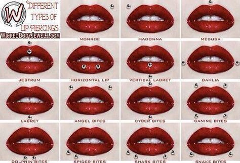 Lip chart Piercings For Guys, Canine Bites Piercing, Dimple Piercing, Spider Bite Piercing, Piercing Chart, Lip Piercings, Face Piercings, Piercings For Girls, Cool Piercings