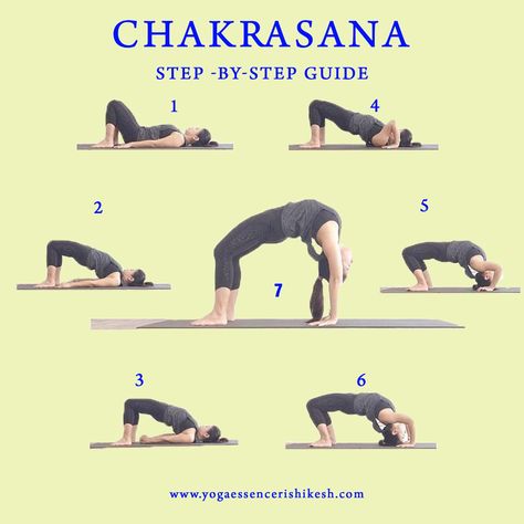 Chakrasana- Step by Step Guide Chakrasana How To, How To Do Chakrasana, Shirshasana Steps, Chakrasana Pose, Bone Exercises, Mckenzie Exercises, Workout Hacks, Yoga Flow Sequence, Quick Yoga