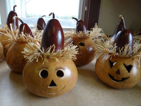 Scarecrow Gourds 5EF Scarecrow Gourds, Crow Head, Gourds Diy, Carlisle Pennsylvania, Fall Gourds, Scare Crow, Halloween Gourds, Gorgeous Gourds, Gourd Crafts