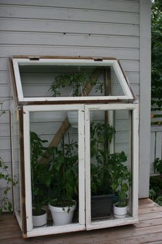 Diy Mini Greenhouse, Indoor Greenhouse, Greenhouse Interiors, Greenhouse Ideas, Backyard Greenhouse, Small Greenhouse, Mini Greenhouse, Diy Greenhouse, Indoor Herb Garden