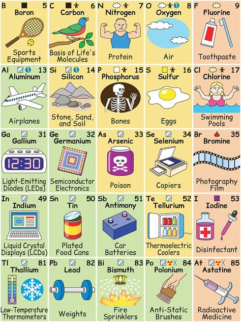 This Brilliantly Illustrated Periodic Table Shows How Elements Influence Everyday Life | DeMilked Periodic Table Project, Chemistry Funny, Periodic Table Art, Neet Notes, The Periodic Table Of Elements, Element Chemistry, Chemistry Periodic Table, Biology Humor, Chemistry Basics