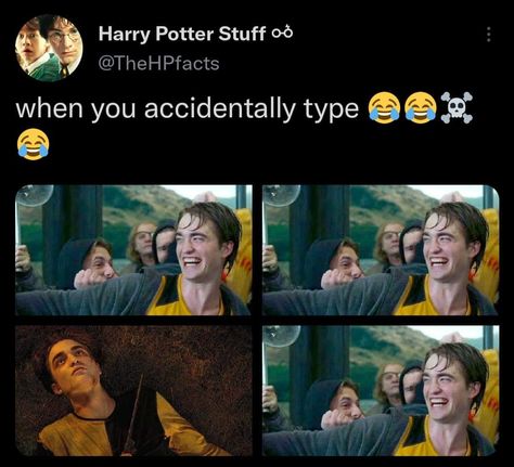 Harry X Cedric, Harry Potter Cedric Diggory, Chuck Norris Jokes, Harry Potter Books Facts, Geometry Dash, Harry Potter Illustration, Funny Harry Potter, Harry Potter And The Chamber Of Secrets, Harry Potter Actors