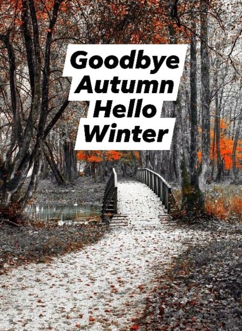 Goodbye Autumn Hello Winter, Winter Preschool Activities, Goodbye Autumn, Name Of Months, Winter Activities Preschool, Value Quotes, Hello Goodbye, Winter Preschool, Hello Winter