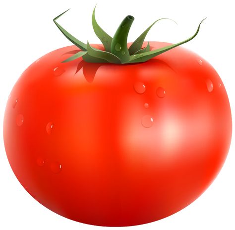 Red Tomato, Tomatoes, White Background, Water, Green, Red, White