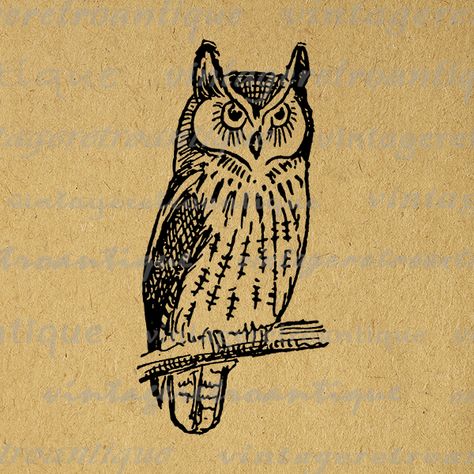 Antique Owl Image Graphic Digital Bird Printable Illustration Download Vintage Clip Art  @ vintageretroantique.com #Printable #Digital #Image #Art #VintageRetroAntique #Clipart #Download #Vintage #Antique #Artwork #Illustration Antique Illustration Tattoo, Vintage Owl Tattoo, Owl Artwork Illustrations, Tattoo Owl, Fairy Tattoos, Image Graphic, Vintage Clip Art, Owl Images, Cat Tattoos