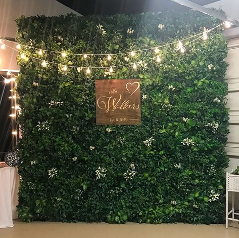 Suite Plants | Bustld | Vetted Wedding Vendors Picked For You #bustld #wedding #weddingplanning #decor #greenwall #ceremonydecor #receptiondecor  #greenery #greenphotowall #photobackdrop #weddingphotobackdrop  #ceremonybackdrop #greenwallpictures #greenwallsignage #lastname #romanticwedding Hedgewall Backdrop Decor, Gold Backdrop With Flowers, Boxwood Backdrop With Lights, Living Wall Wedding, Greenery Backdrop With Lights, Greenery Wall Decor Wedding, Photobooth Wall Wedding, Shrub Backdrop, Hedgewall Backdrop With Flowers