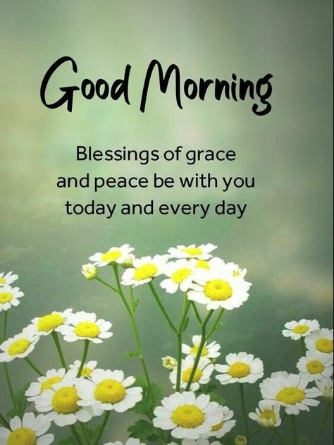 Good Morning Motivational Quotes, Inspirational Morning Prayers, Ladybug Quotes, Sweet Good Morning Images, Blessed Morning Quotes, Good Morning Wishes Friends, Good Morning Image, Morning Board, Good Morning Greeting Cards