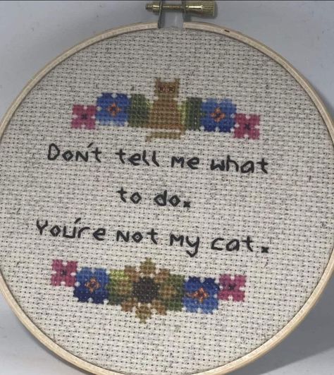 Funny Cross Stitch Patterns Free, Subversive Embroidery, Lol Cats, Subversive Cross Stitches, Funny Cross Stitch, Funny Embroidery, Cross Stitch Quotes, Cat Sanctuary, Funny Cross Stitch Patterns