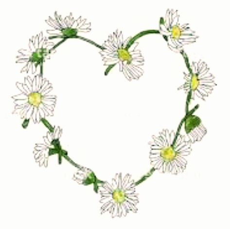 Daisy chain heart tattoo idea <3 Daisy Chain Knee Tattoo, Daisy Heart Tattoo, Chain Tattoos, Flowers Reference, Daisy Chain Tattoo, Daisy Tattoos, Daisy Flower Tattoos, Jean Art, Daisy Heart