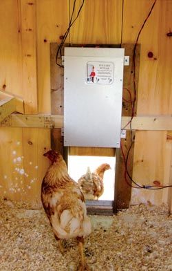 Solar powered chicken coop, light, auto open door, etc. Solar Powered Chicken Coop, Chicken Coop Door, Urban Chicken Farming, Coop Door, Portable Chicken Coop, Urban Chickens, Coop Design, Best Chicken Coop, Chicken Coop Designs