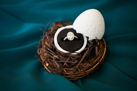 Picture of a dinosaur egg-shaped wedding ring box for a Jurassic park-inspired wedding. Jurassic Park Wedding, Jurassic Wedding, Dinosaur Ring, Egg Ring, Nerd Wedding, Egg Rings, Wedding Movies, Dinosaur Eggs, Wedding Ring Box