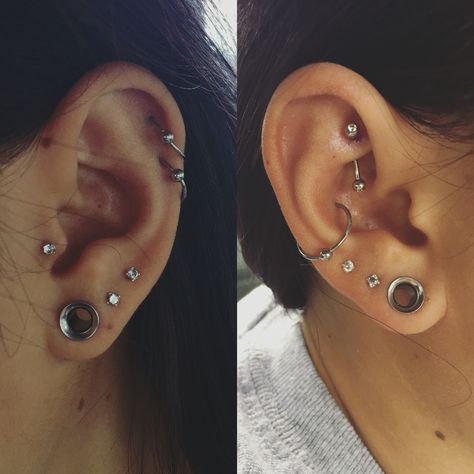 Double Helix And Tragus Piercing, Ear Curation With Gauges, Ear Piercing Ideas With Stretched Ears, Double Stretched Lobes, Ear Piercing Ideas With Gauges, Stretched Conch, Double Helix And Conch, 2g Stretched Ears, Double Conch Piercing