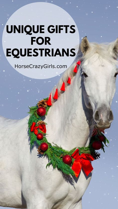 A white horse wearing a wreath around its neck. The text on the screen says Unique Gifts For Equestrians Horse Themed Gifts, Equestrian Christmas Gifts, Equestrian Christmas List, Horse Gifts For Women, Diy Gifts For Horse Lovers, Diy Horse Gifts, Horse Lover Gifts Diy, Gifts For Equestrians, Equestrian Gift Ideas