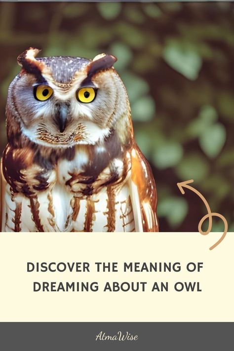 Owl perched with intense gaze among blurred green leaves with text "Discover the meaning of dreaming about an owl". Nocturnal Creatures, Black Owl, Dream Symbols, Deep Truths, White Owl, Truth Of Life, Dream Interpretation, Mystical Creatures, Red Ink