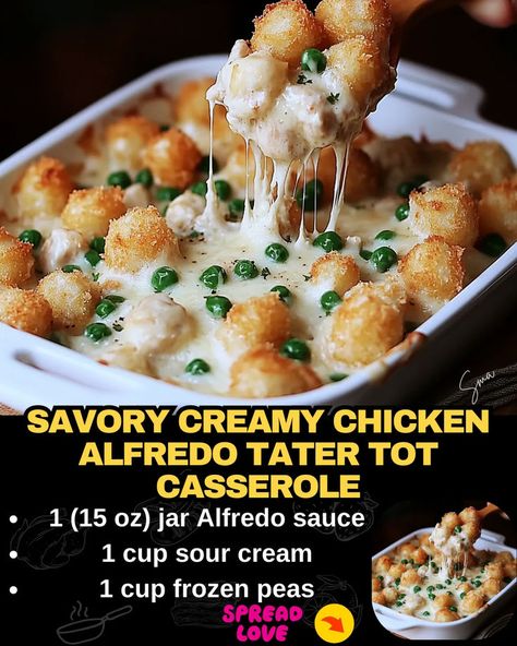 Savory Creamy Chicken Alfredo Tater Tot Casserole Bacon Cheeseburger Meatloaf, Beef Tips And Noodles, Creamy Chicken Alfredo, Tater Tot Casserole Recipe, Chicken Tater Tot Casserole, Baked Meatloaf, Chicken Shredded, Mexican Casserole Recipe, Tater Tot Casserole Recipes