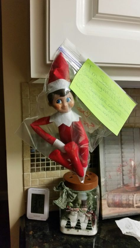 Elf 2024, Kindness Elves, Elf Ideas, Elf On The Shelf Ideas, During The Day, Shelf Ideas, On The Shelf, The Elf, Diy Christmas