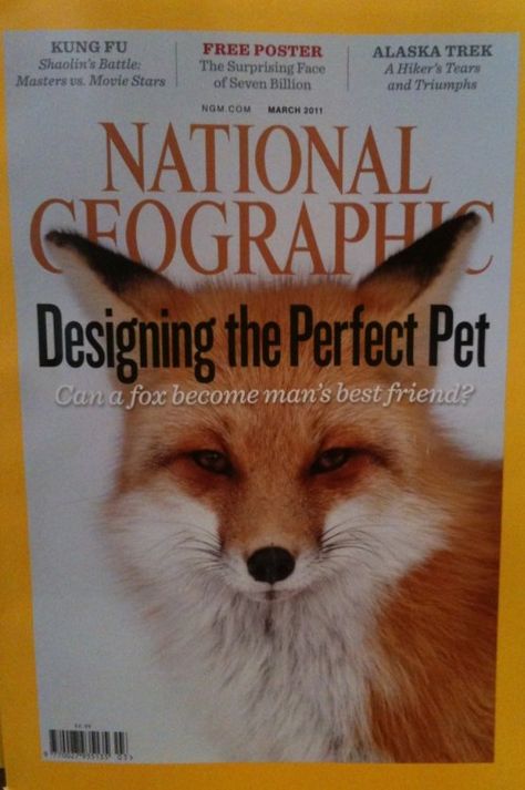 National Geographic cover. 2011 National Geographic Cover, Magazine Cover Art, This Is Us Movie, Education Art, Living In London, Free Poster, My Interests, Vintage Magazine, Mans Best Friend