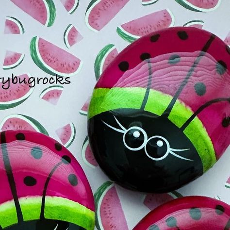 Watermelon Painted Rocks, Bug Painted Rocks, Bug Rocks, Watermelon Painting, Shell Painting, Painted Pebbles, Paint Rocks, Summer Painting, Painted Shells