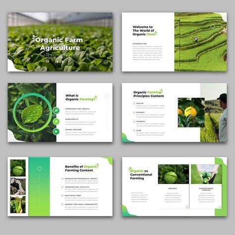 Organic Presentation Design, Agriculture Brochure Design, Agriculture Flyer, Farm Brochure, Press Kit Design, Farm Agriculture, Agriculture Design, Company Profile Presentation, Organic Agriculture