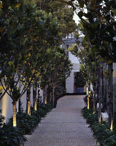 Tree Lined Driveway, Diy Outdoor Lighting, Driveway Design, Driveway Landscaping, Cottage Gardens, Have Inspiration, Garden Pathway, Landscape Lighting, Front Garden