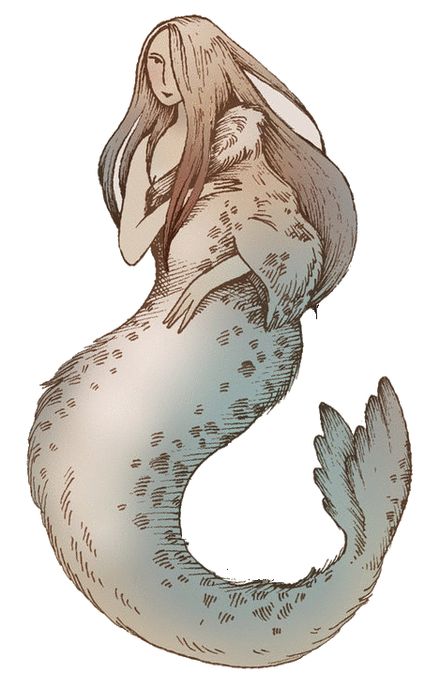 Selkie Study – But first, let me take a selkie Selkie Mythology, Mermaids And Mermen, Mermaid Art, Monster Girl, A Mermaid, Creature Art, Mythical Creatures, Fantasy Creatures, Sea Creatures