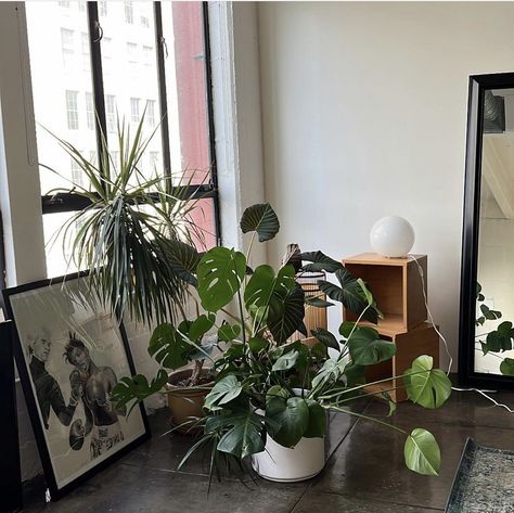 House Plants Astethic, House Full Of Plants Aesthetic, Sophia Kelly, Men’s Bedroom With Plants, Loft Apartment Plant Aesthetic, Nyc Plant Apartment Aesthetic, Hipster Cafe, Room With Plants, Dream Apartment