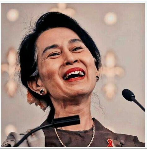 Aung Sun Su Kyi, Daw Aung San Suu Kyi, Aung San Suu Kyi, Dog Costumes Funny, Photo Filters Apps, Aung San, Chinese New Year Background, Funny Cartoon Images, Friendship Photography